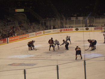 Dewson students sing O Canada at Ricoh Coliseum , Hockey Game . 042